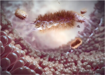 parasites